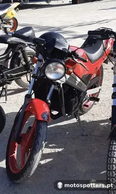 Suzuki Wolf